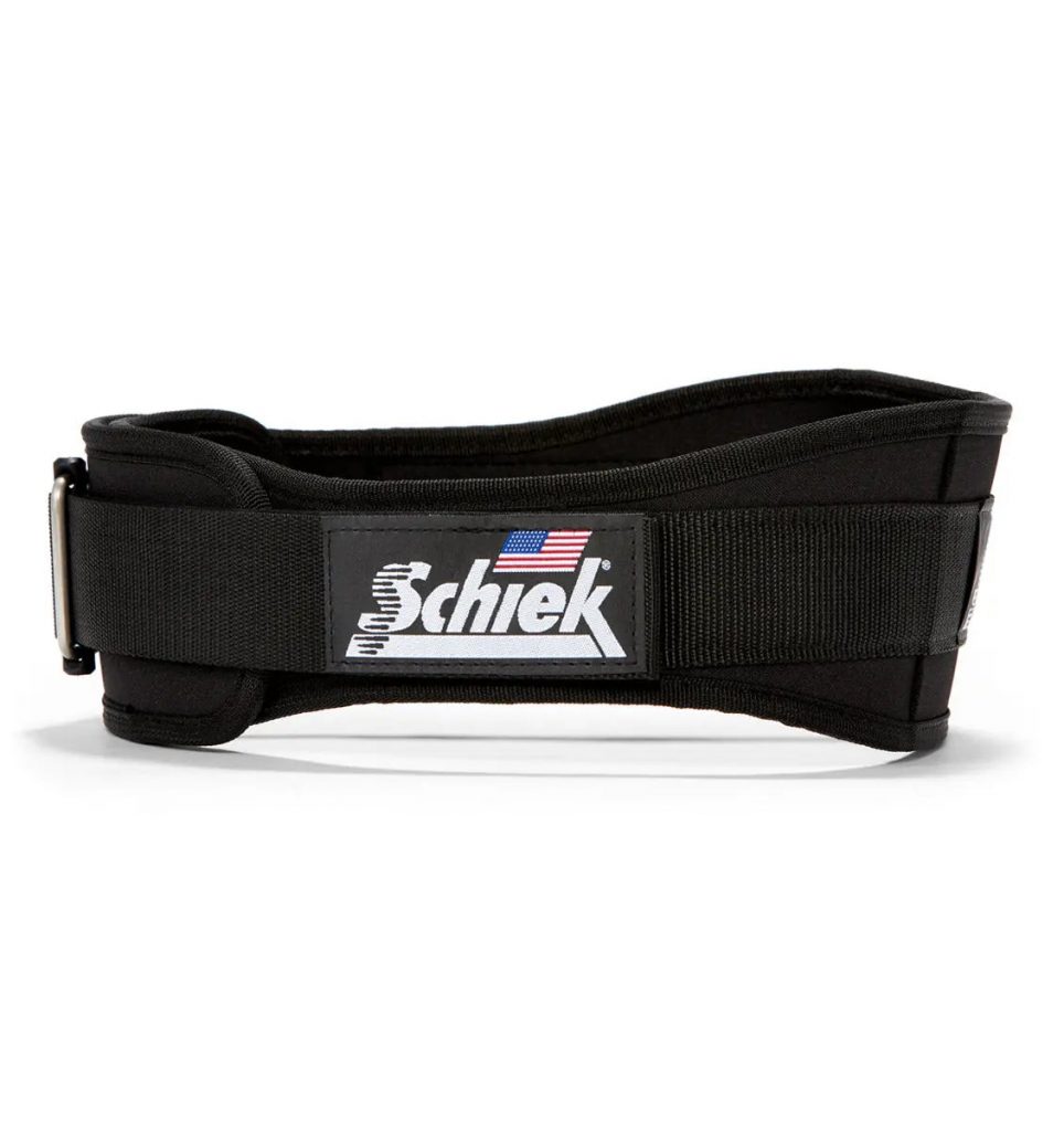 Schiek 2004 LIFTING BELT